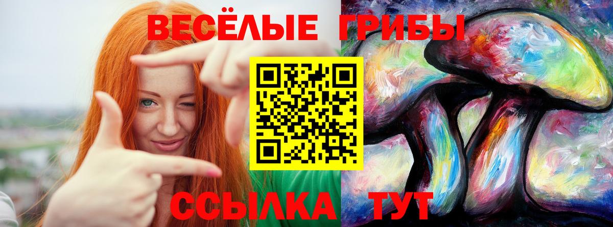 Псилоцибиновые грибы ЛСД  Вход с VPN  Псилоцибиновые грибы Psilocybine cubensis  где купить наркотик  Ревда 